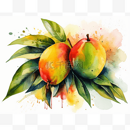 两个长着枝叶的芒果果实水彩手绘