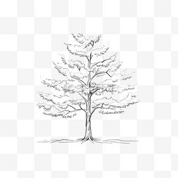 连续单线图 pohon cemara yang indah 树