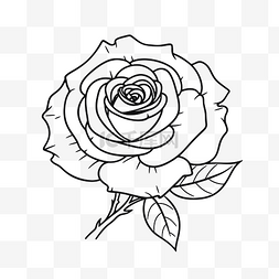 黑白素描玫瑰图片_绘制玫瑰着色页轮廓草图 向量