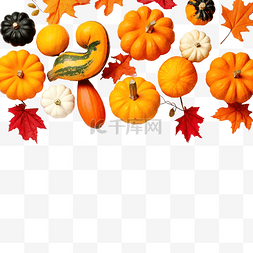 橙色样机图片_南瓜彩叶感恩节和万圣节的节日垂