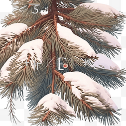 雪花，漂浮，雪子图片_雪圣诞节背景中的松枝