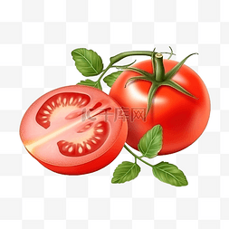 植物番茄图片_番茄红新鲜带叶切片番茄带番茄种