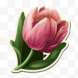 郁金香花的标志图片_带有粉红色郁金香花和绿叶剪贴画