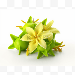 黄色的杨桃图片_白色背景中的三朵绿色和黄色的花