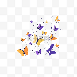 色彩缤纷的蝴蝶和羽毛动画设计概
