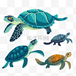 海龟剪贴画 一组四只海龟卡通 向