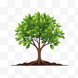 ps平面植物素材图片_树苗树平面颜色