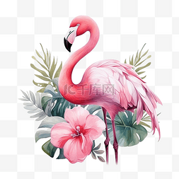 粉红色的火烈鸟花水彩风格