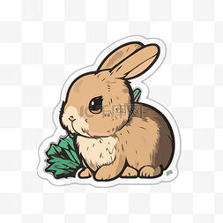 棕色的小兔子图片_一只棕色小兔子的贴纸，上面有绿
