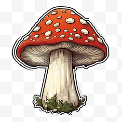 可爱的菌的图片_老烂熟蘑菇的图形图像