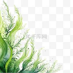 水彩海藻图片_背景与海藻