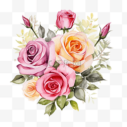 植物手绘粉色图片_水彩玫瑰花束