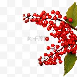 葫芦形瓠瓜图片_感恩节快乐装饰，木制的罗文浆果
