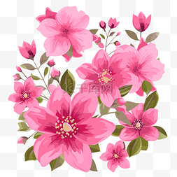 粉红色的花朵
