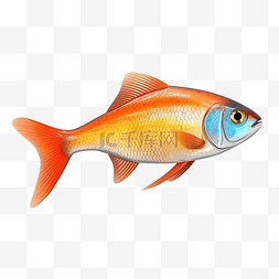 鱼孤立 3d 渲染