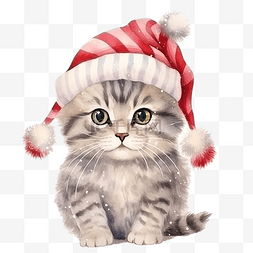 可爱的猫水彩圣诞节