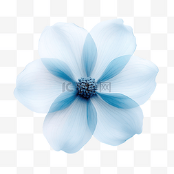 淡蓝色的花