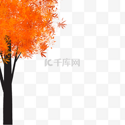 秋季树木插画图片_红色枫树树叶