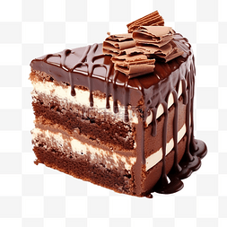 奶油烩饭图片_巧克力美味蛋糕