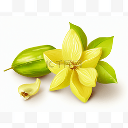 黄色茉莉花和带叶子的绿色水果