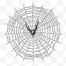 万圣节蜘蛛网蜘蛛网关闭矢量线性