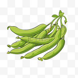 蚕豆蔬菜轮廓图