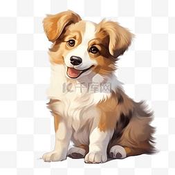 阿拉斯加图片_白色和棕色可爱的狗动物