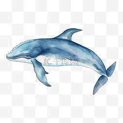 水彩鲸鱼海洋动物