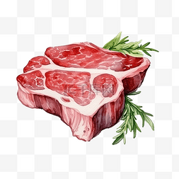 水彩肉羊肉