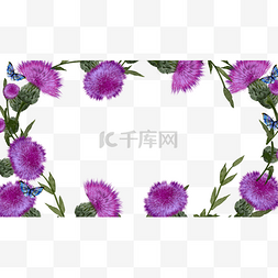 水彩绿叶花卉图片_蓟紫色花卉水彩边框