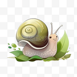 可爱的蜗牛插画