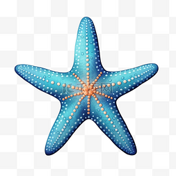 海底的海豚图片_海星 海底 海洋 海 用于装饰