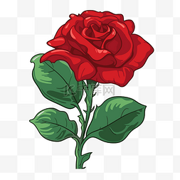 红玫瑰剪贴画 红玫瑰花在花束矢