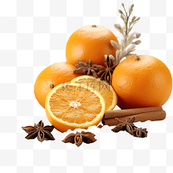 聚焦两会logo图片_圣诞香料和橙子
