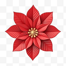 3D 插图圣诞对象花一品红用于网络