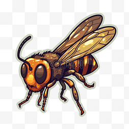 卡通大翅膀蜜蜂图片_大眼睛的卡通黄蜂 向量