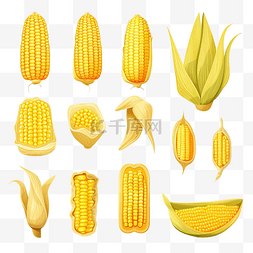 玉米和谷物图片_整套和切片玉米圆片和谷物玉米