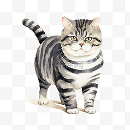 黑白条纹手绘图片_黑白条纹的胖猫在水彩中行走