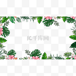 白色花卉边框图片_热带树叶白色花卉边框