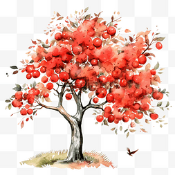 邀請图片_红罗文和枯萎的苹果树的秋天插图