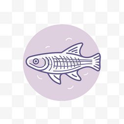 图标形状的鱼插图 向量