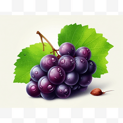 紫色叶子和葡萄图片_与叶子和橡子的新鲜的紫色葡萄