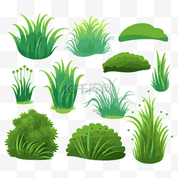 种草榜单图片_可爱的草剪贴画各种草和植物设置