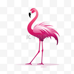 粉色的火烈鸟图片_粉红色的火烈鸟符号颜色