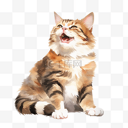 猫快乐的姿势插画