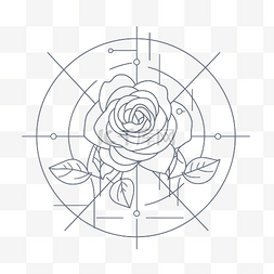 艺术玫瑰图片_白色背景上几何几何中玫瑰的线条