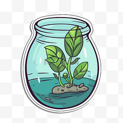 玻璃罐中生长的植物的贴纸剪贴画