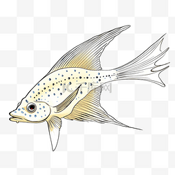 海洋生物手绘素描图片_长尾软骨鱼 orlyak 海洋居民手绘风