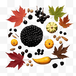 健康饮食的图片_黑色的秋天作文