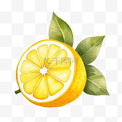 以简约风格绘制黄色柠檬